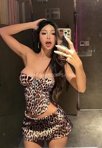 Wagga escorts Amelia — 2