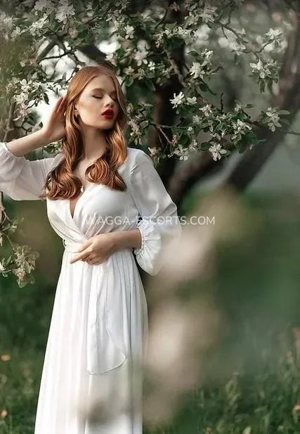 Wagga escorts Ariana — 1