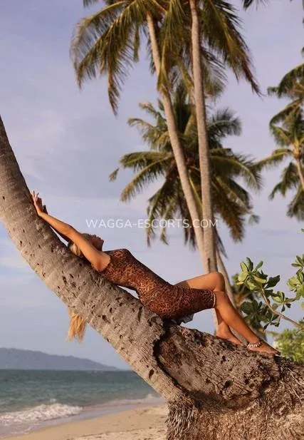 Wagga escorts Elise — 9