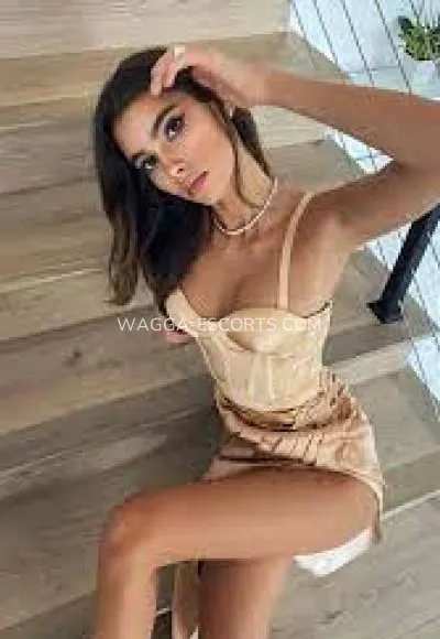 Wagga escorts viviana