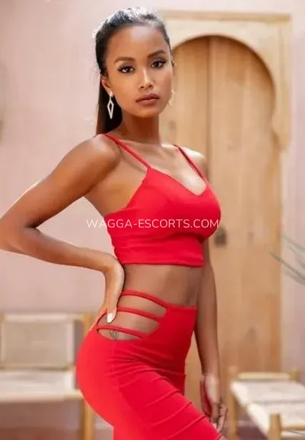 Wagga escorts Gianna — 4