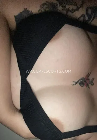 Wagga escorts Olivia — 1