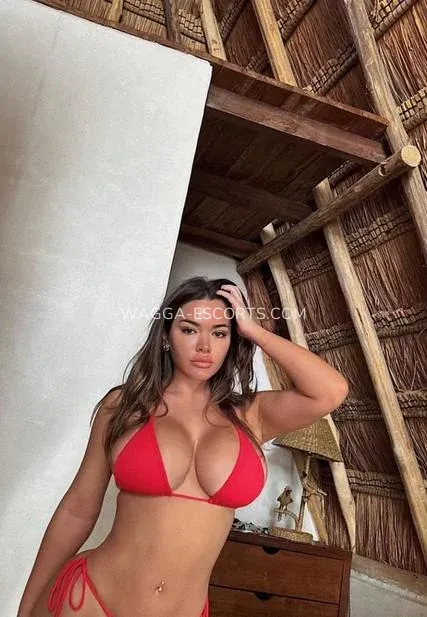 Wagga escorts Selena — 3